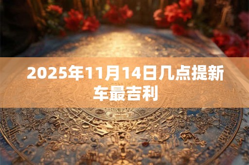 2026年11月14日几点提新车最吉利