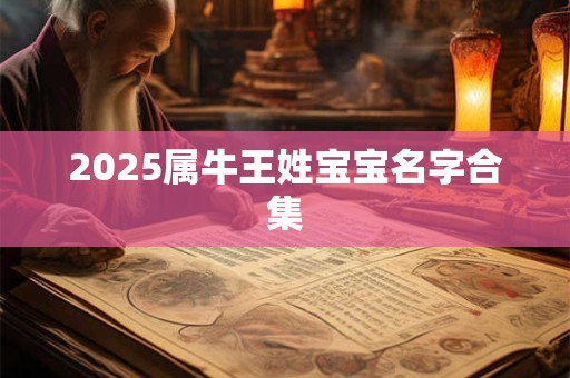 2025属牛王姓宝宝名字合集
