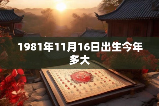 1981年11月16日出生今年多大