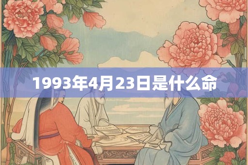 1993年4月23日是什么命