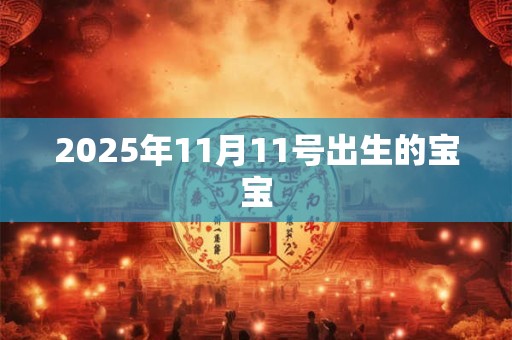2025年11月11号出生的宝宝