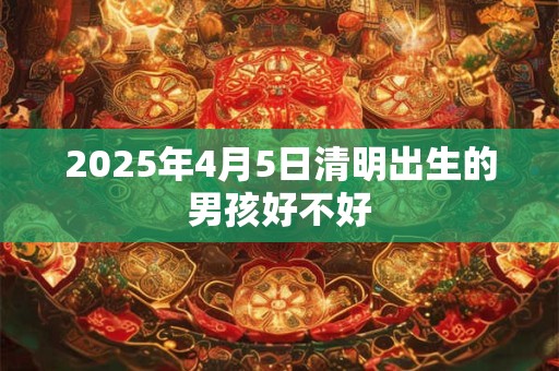 2025年4月5日清明出生的男孩好不好