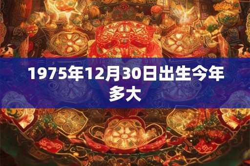 1975年12月30日出生今年多大