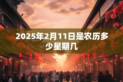 2025年2月11日是农历多少星期几