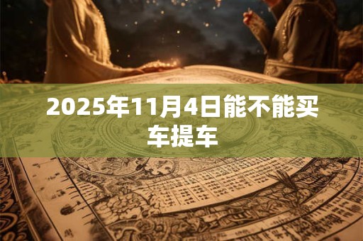 2025年11月4日能不能买车提车