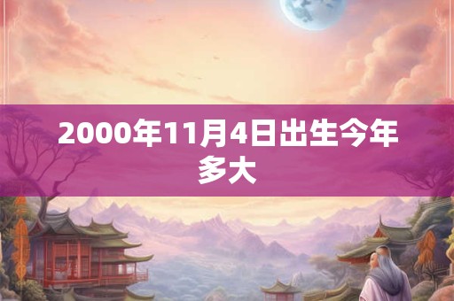 2000年11月4日出生今年多大