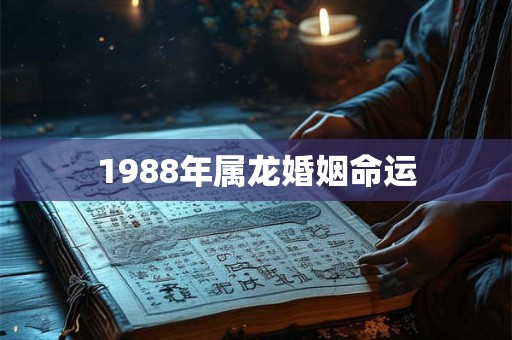 1988年属龙婚姻命运