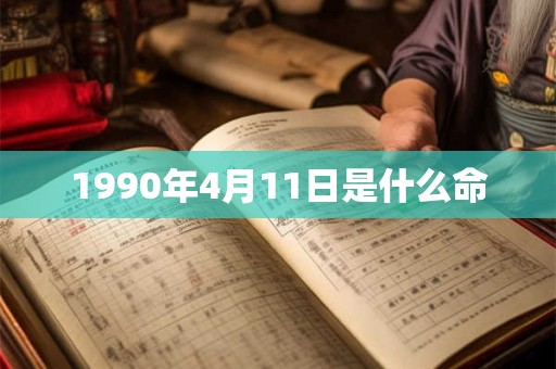 1990年4月11日是什么命