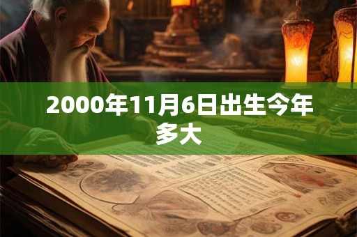 2000年11月6日出生今年多大