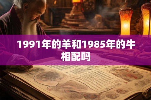 1991年的羊和1985年的牛相配吗