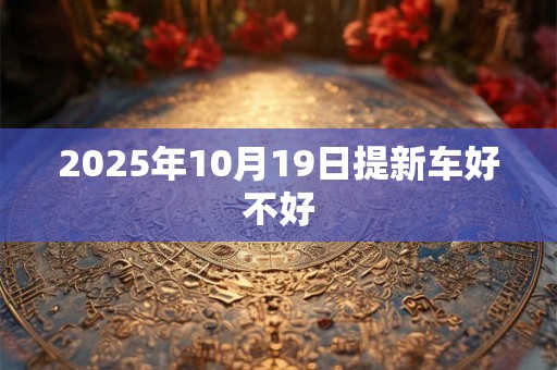2025年10月19日提新车好不好