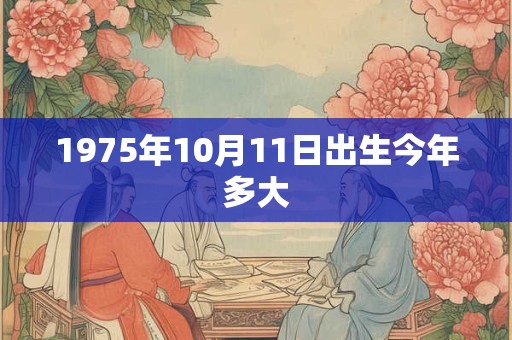 1975年10月11日出生今年多大
