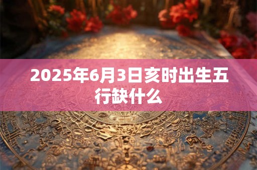 2025年6月3日亥时出生五行缺什么