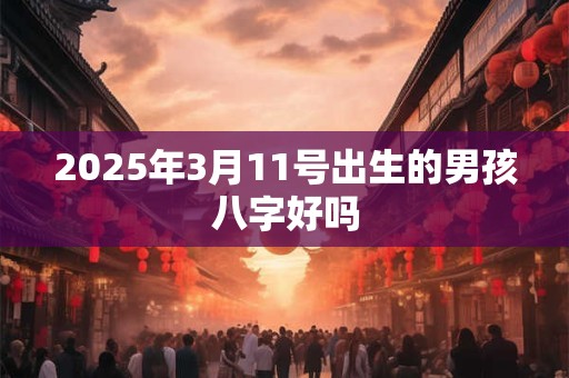 2025年3月11号出生的男孩八字好吗
