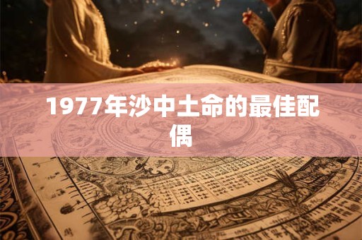 1977年沙中土命的最佳配偶