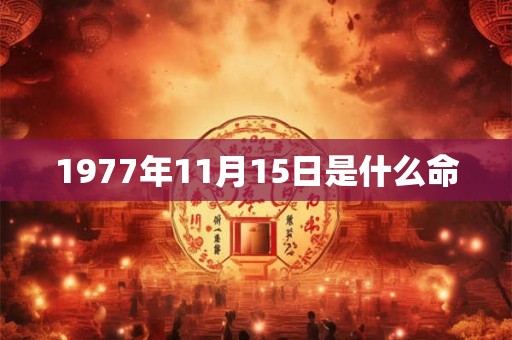 1977年11月15日是什么命