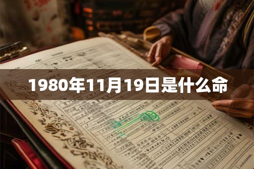 1980年11月19日是什么命