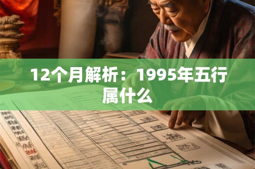12个月解析：1995年五行属什么