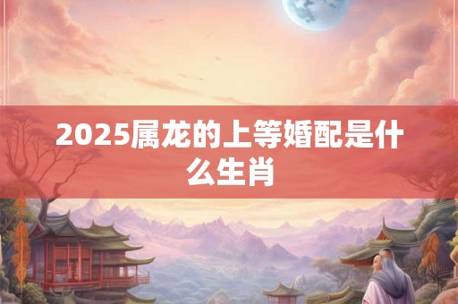 2025属龙的上等婚配是什么生肖