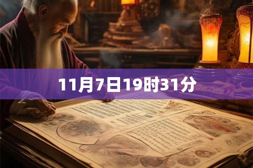 11月7日19时31分 11月7日19时31分