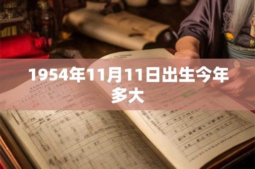1954年11月11日出生今年多大