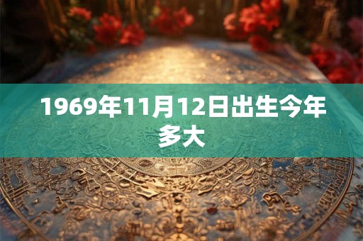 1969年11月12日出生今年多大