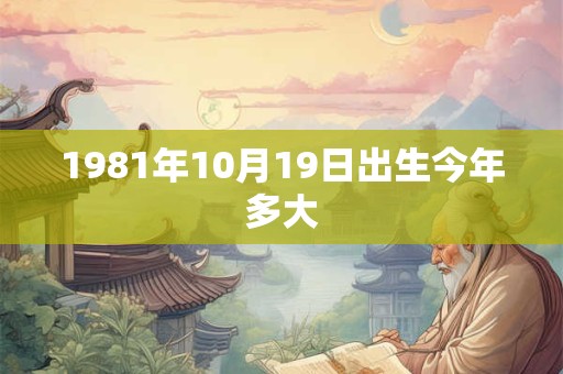 1981年10月19日出生今年多大