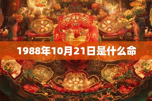 1988年10月21日是什么命