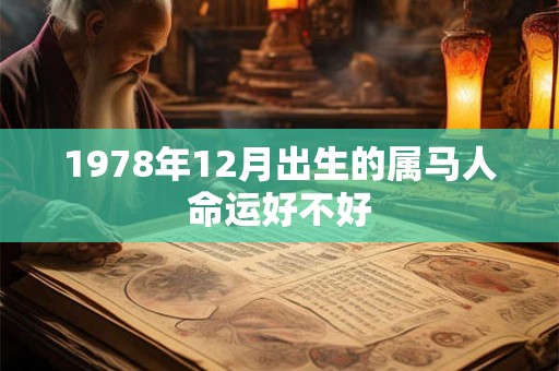 1978年12月出生的属马人命运好不好 1978年12月出生的属马人命运好不好