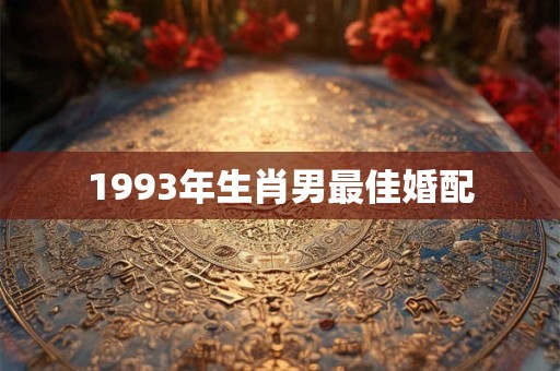 1993年生肖男最佳婚配