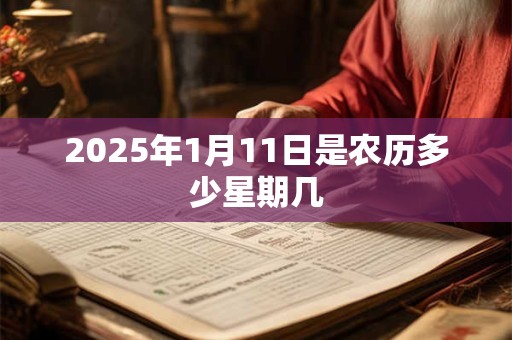 2025年1月11日是农历多少星期几