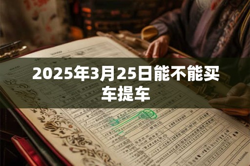 2025年3月25日能不能买车提车