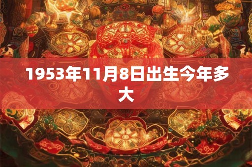 1953年11月8日出生今年多大
