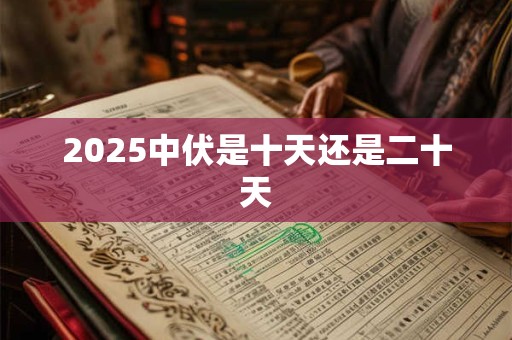 2025中伏是十天还是二十天 2025中伏是十天还是二十天
