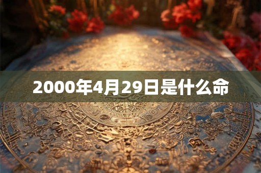 2000年4月29日是什么命