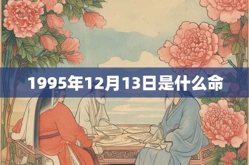 1995年12月13日是什么命