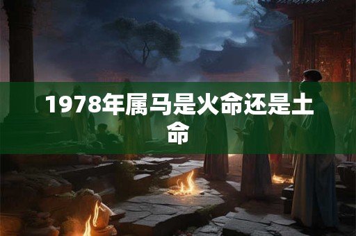 1978年属马是火命还是土命