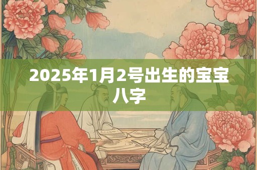 2025年1月2号出生的宝宝八字