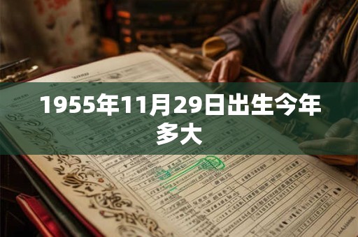 1955年11月29日出生今年多大