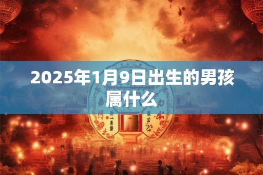 2025年1月9日出生的男孩属什么