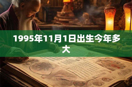 1995年11月1日出生今年多大