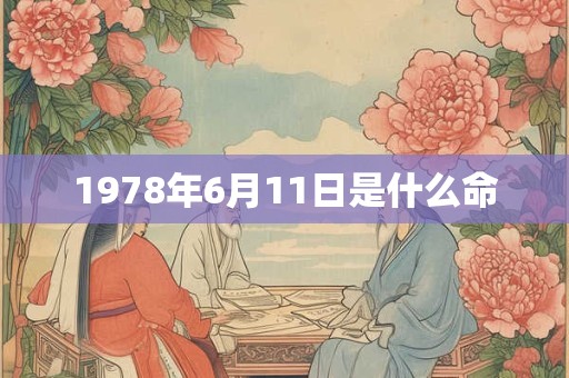 1978年6月11日是什么命