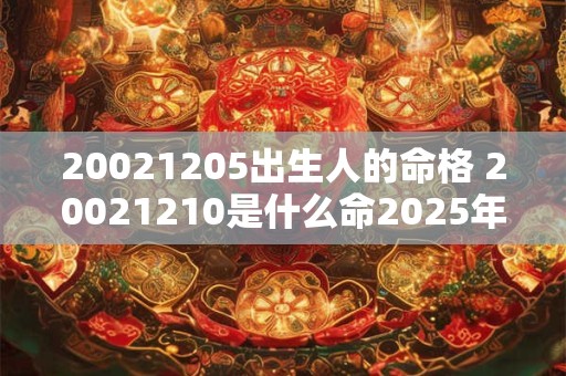 20021205出生人的命格 20021210是什么命2025年