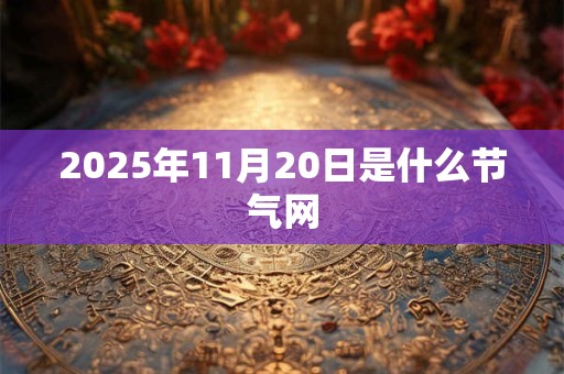 2025年11月20日是什么节气网