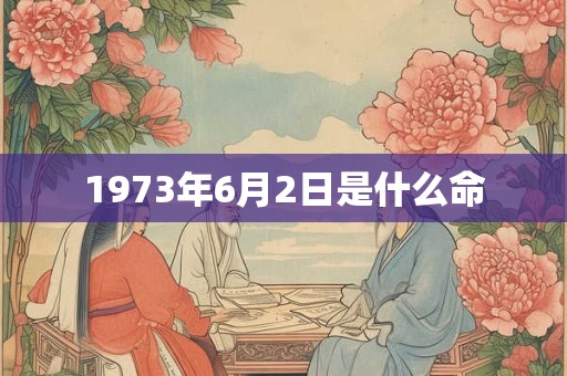 1973年6月2日是什么命