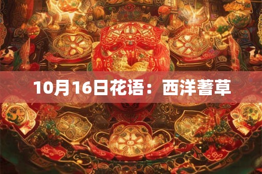 10月16日花语：西洋蓍草