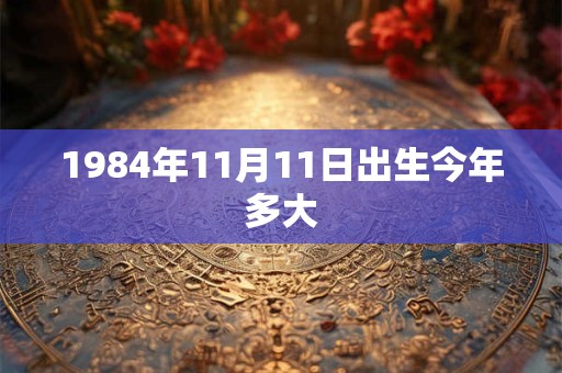 1984年11月11日出生今年多大