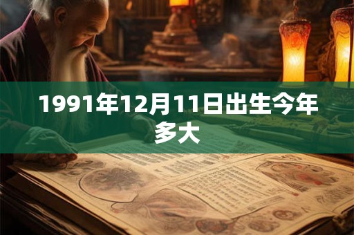 1991年12月11日出生今年多大