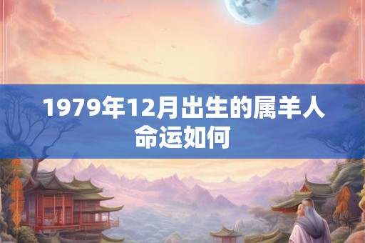 1979年12月出生的属羊人命运如何