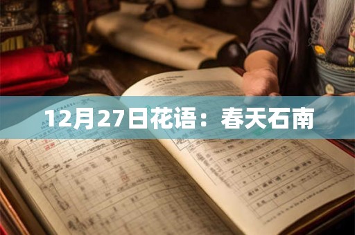 12月27日花语：春天石南